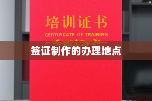 涡阳签证制作的办理地点